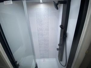 IBEX RV Suite RVS3 Photo