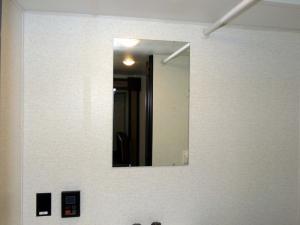 Springdale Classic Mini 1860SS Photo