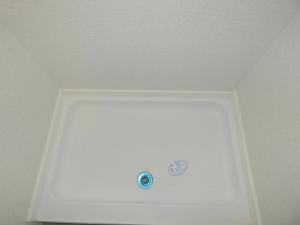 Springdale Classic Mini 1860SS Photo