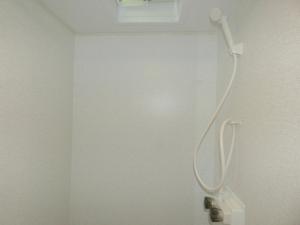 Springdale Classic Mini 1860SS Photo