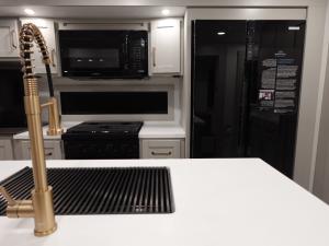 Model Z Air 297 Photo