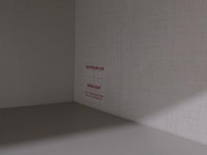 Model Z Air 297 Photo