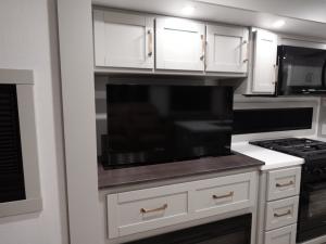 Model Z Air 297 Photo