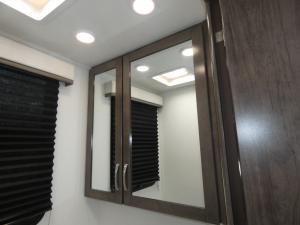 Odyssey 29V Photo