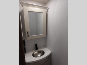 Paradigm 385FL Photo