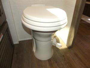 Canyon Star 3947 Photo