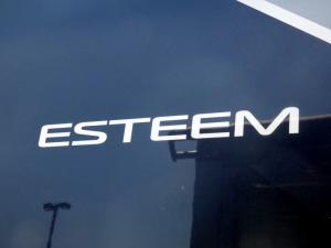 Esteem 29V Photo