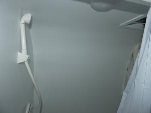Rove Lite 14FLEV Photo