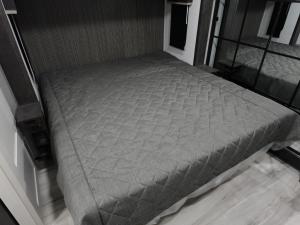 Alpine Avalanche Edition 302RS Photo