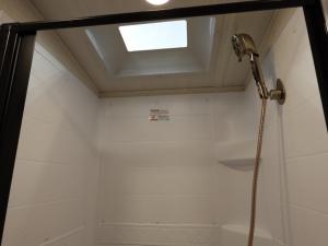 Cougar Half-Ton 25MLE Photo