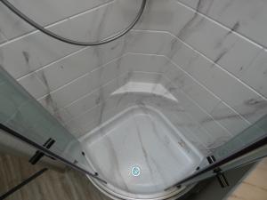 Quantum SE SL31 Ford Photo