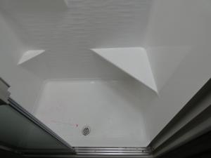 Alpine Avalanche Edition 390DS Photo