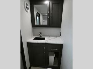 Alpine Avalanche Edition 390DS Photo