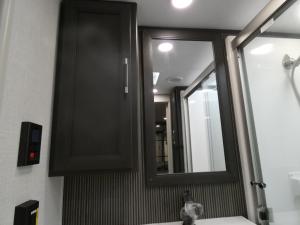 Alpine Avalanche Edition 390DS Photo