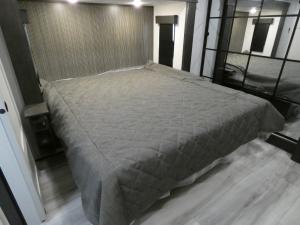 Alpine Avalanche Edition 390DS Photo