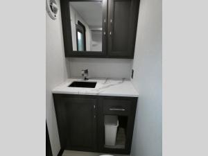 Alpine Avalanche Edition 390DS Photo