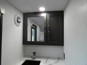 Alpine Avalanche Edition 390DS Photo