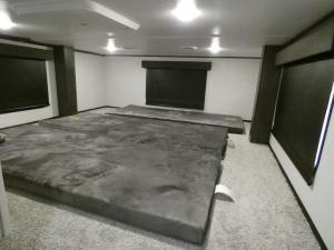 Alpine Avalanche Edition 390DS Photo