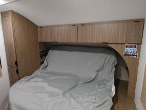 Salem Cruise Lite 273QBXL Photo