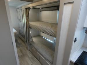 Pasadena SE SL31 Photo