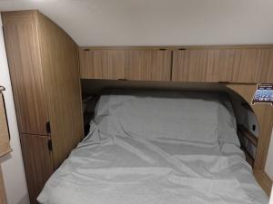 Salem Cruise Lite 24RLXL Photo