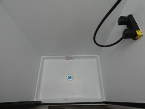 Cross Trail XL 22XG Ford E-350 Photo