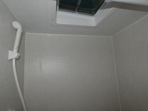 Springdale Mini 1320RD Photo