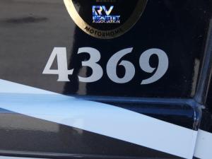 Dutch Star 4369 Photo