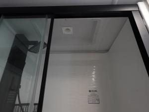 Model Z Air 310 Photo