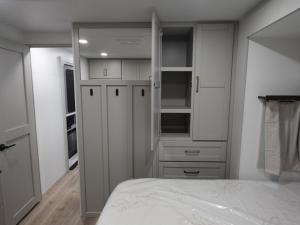 Model Z Air 310 Photo