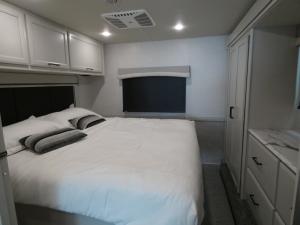 Flair 29M Photo