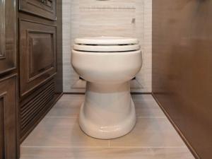 Dutch Star 4325 Photo