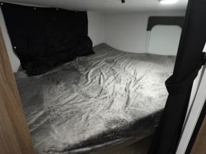 Freedom Express Select 21SE Photo