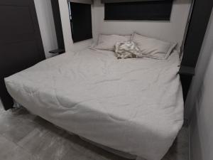 Sanibel 39BUNK Photo