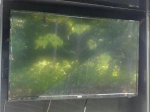 Ghost 36DS Photo