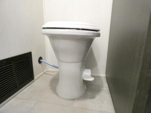 Crusader BONUS38 Photo