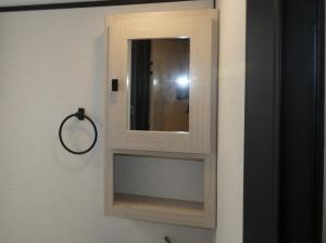 Apex Nano 208BHS Photo