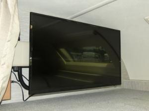 Quantum LF31 Photo