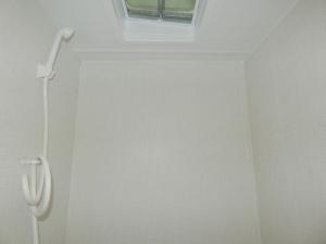 Springdale Mini 1750RD Photo