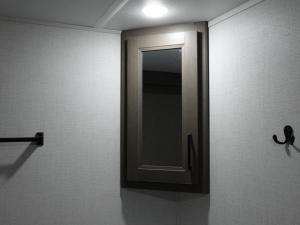 Transcend 245RLT Photo