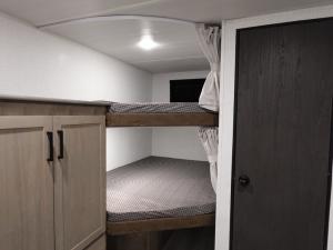 Springdale Classic 269DBC Photo