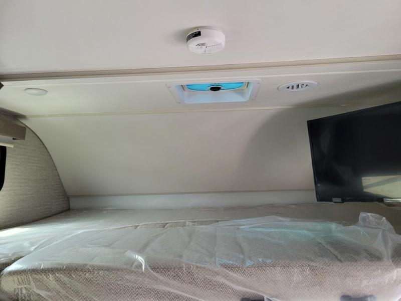 Minnie Winnie/22R/2025 image-20