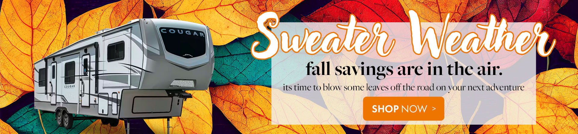 Fall - sweater weather