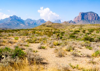 Big Bend National Park
