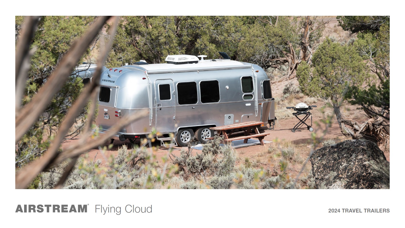 Flying Cloud 2024