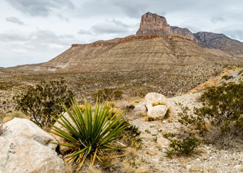 Guadalupe Mountains National Park Guadalupe Mountains National Park