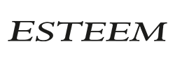 Esteem Brand Logo