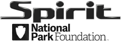 Spirit NPF Limited Edition Brand Logo
