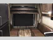 Puma Unleashed Stock Photo