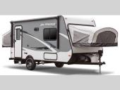 Jay Feather 7 Stock Photo